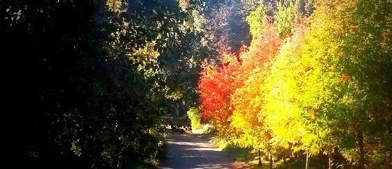 OTOÑO EN EL PARAISO